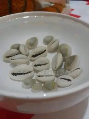 Cowries (Sede3)