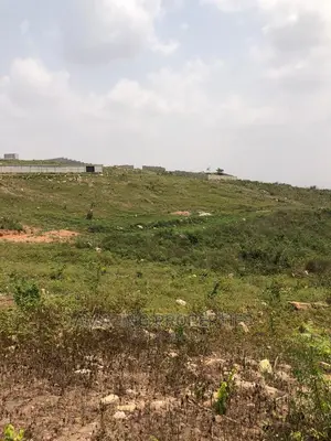49 Acres of Land at Berekusu