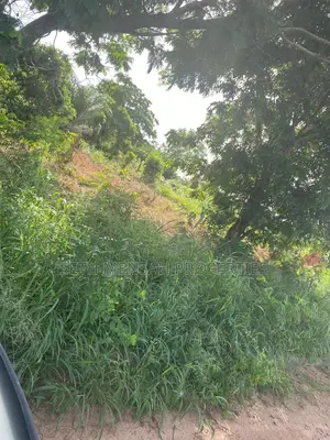 3 Plot of Land for Sale at Kwabanya