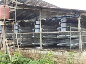 Chicken Cages