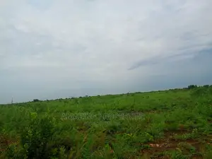 *Roadside 5 Acres for Sale Ashiaman-Tema Highway
