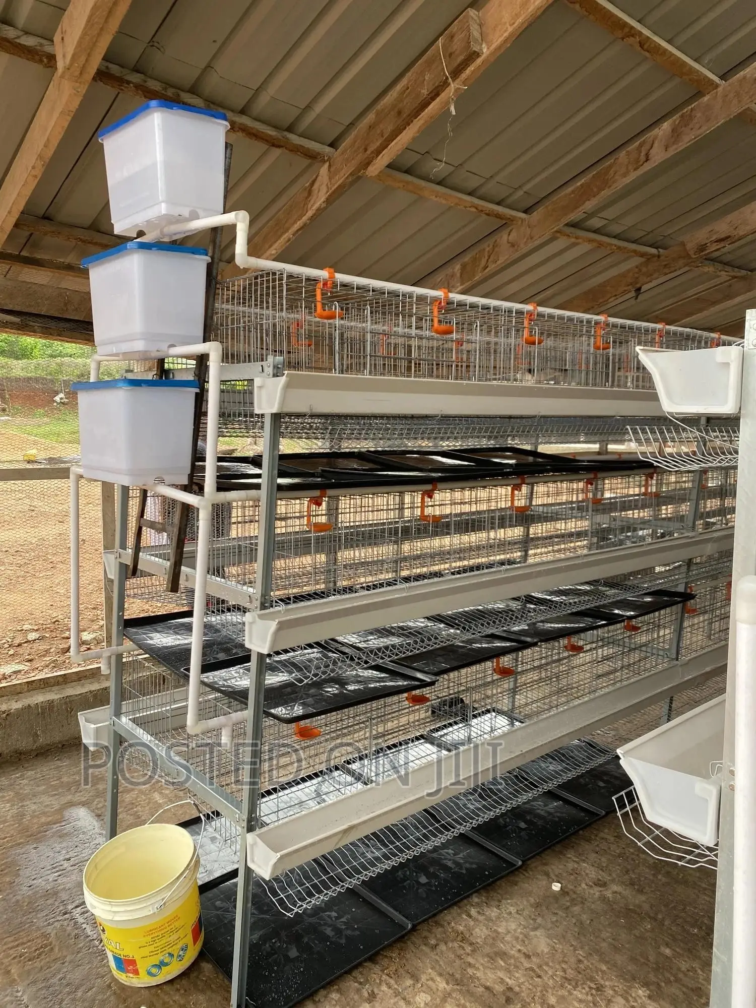 Chicken Cages