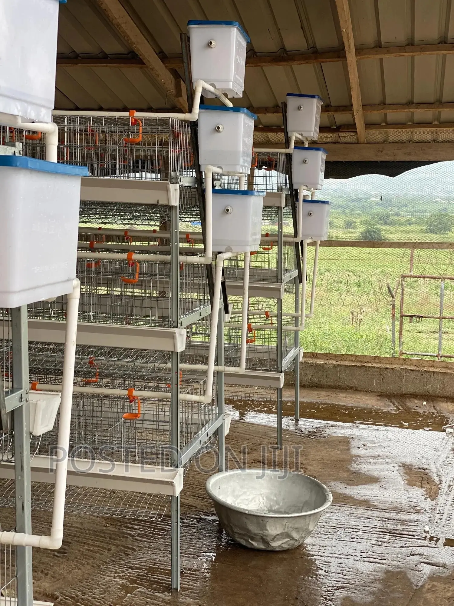 Chicken Cages