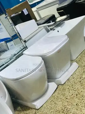 Wall Hung Toilet - Concealed Water Closet - Wall Wc