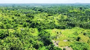 100,000 + Acres Farm Land Now Selling