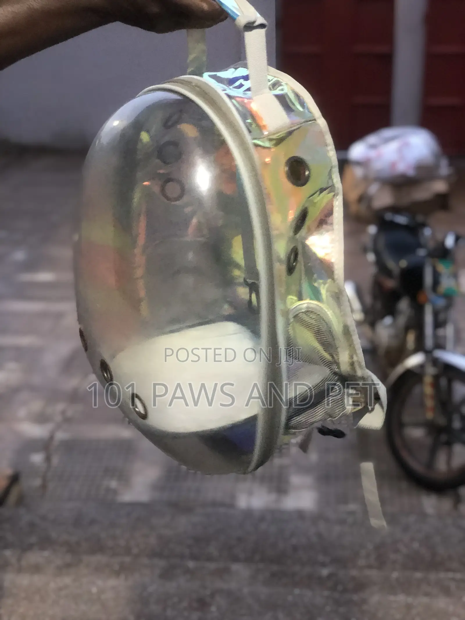 Pet Backpack Carriers Available