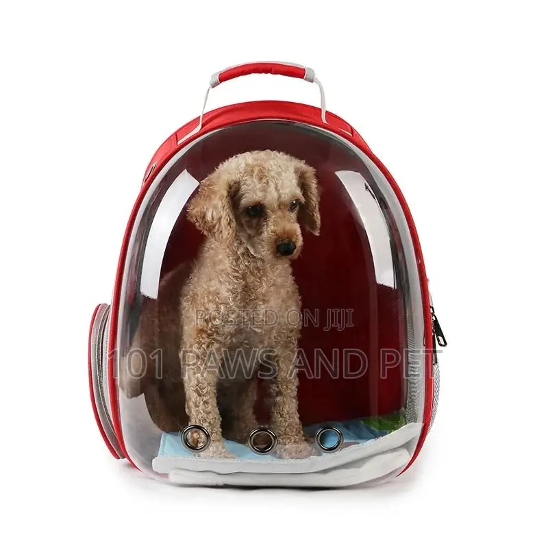 Pet Backpack Carriers Available