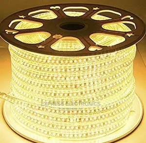 LED Rope Light 100 Meters Daylight