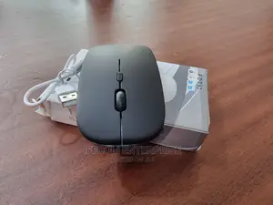 Bluetooth/Wireless Rechargeable Mouse