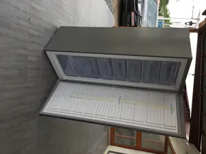 Standing Pearl Upright Freezer (Puf-370)