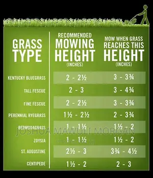 Lawn Mowing Maintenance Edging Landscaping Hedges Trimming