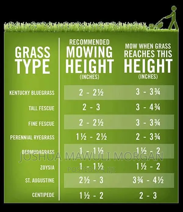 Lawn Mowing Maintenance Edging Landscaping Hedges Trimming
