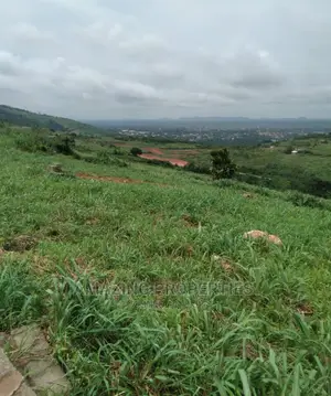 One Plot of Mixed Use Land for Sale at Madina