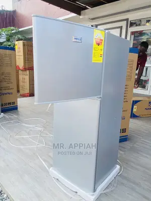 Stainless Steel Nasco 2 Door Refrigerator(Nascof2-16fl) 