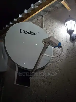 Dish of DS
