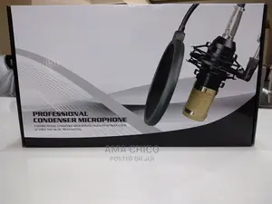 Studio Microphone (Professional Condenser Microphone)