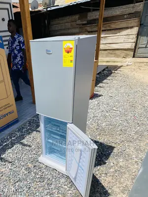 Energy Sufficient Nasco(D2-20FL)Bottom Mount Freezer Fridge