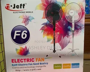 Electric Standing Fan