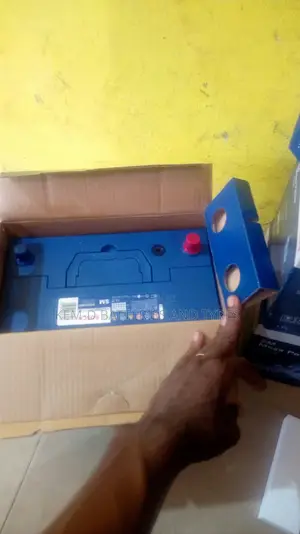 17 Plates Bosch Battery - American Type