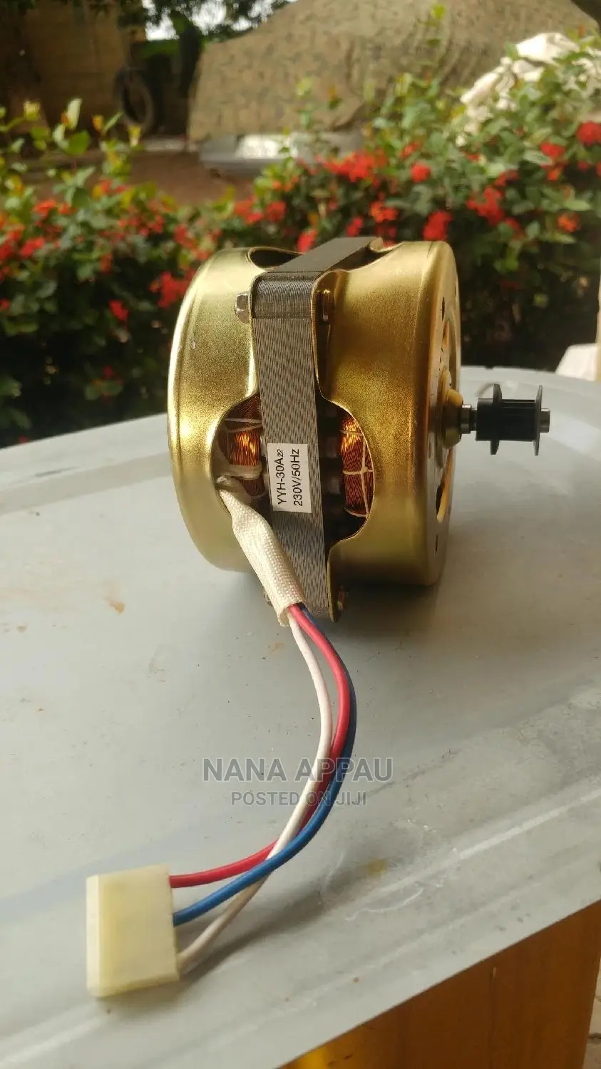 Brushless Motor
