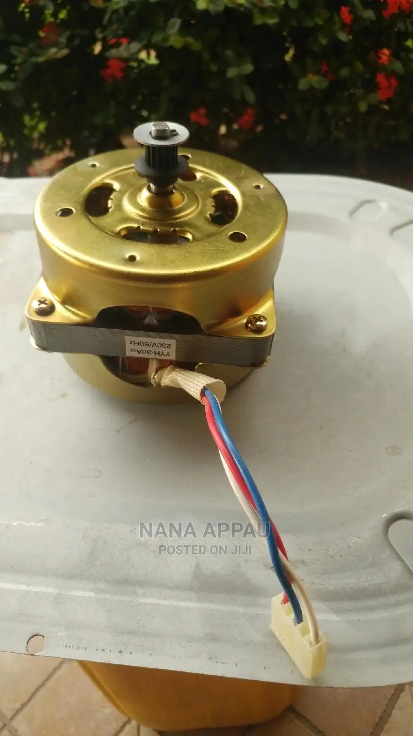 Brushless Motor