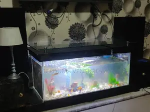 5ft+ Aquarium Tv Stand With 3 Free Fishes Feed