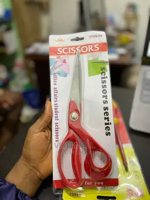 Scissors Stainless