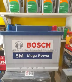 Quality 13 Plates Bosch Battery for Some Saloon Cara