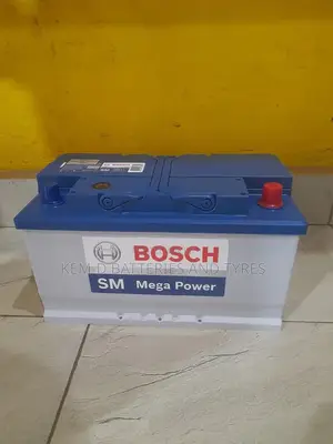 Original 100ah Bosch Batteries - 19 Plates