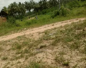 One Plot for Sale at Amasaman Obom