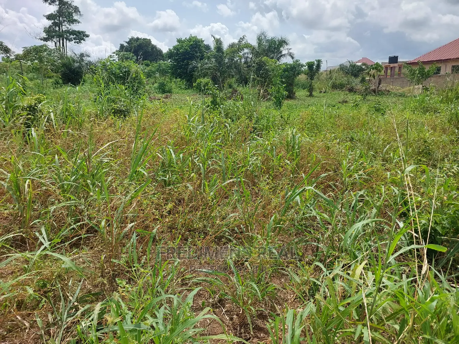 A Land at Ejisu-Krapa for Sale