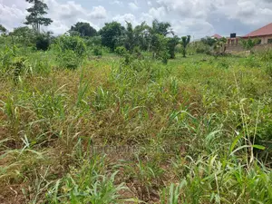A Land at Ejisu-Krapa for Sale