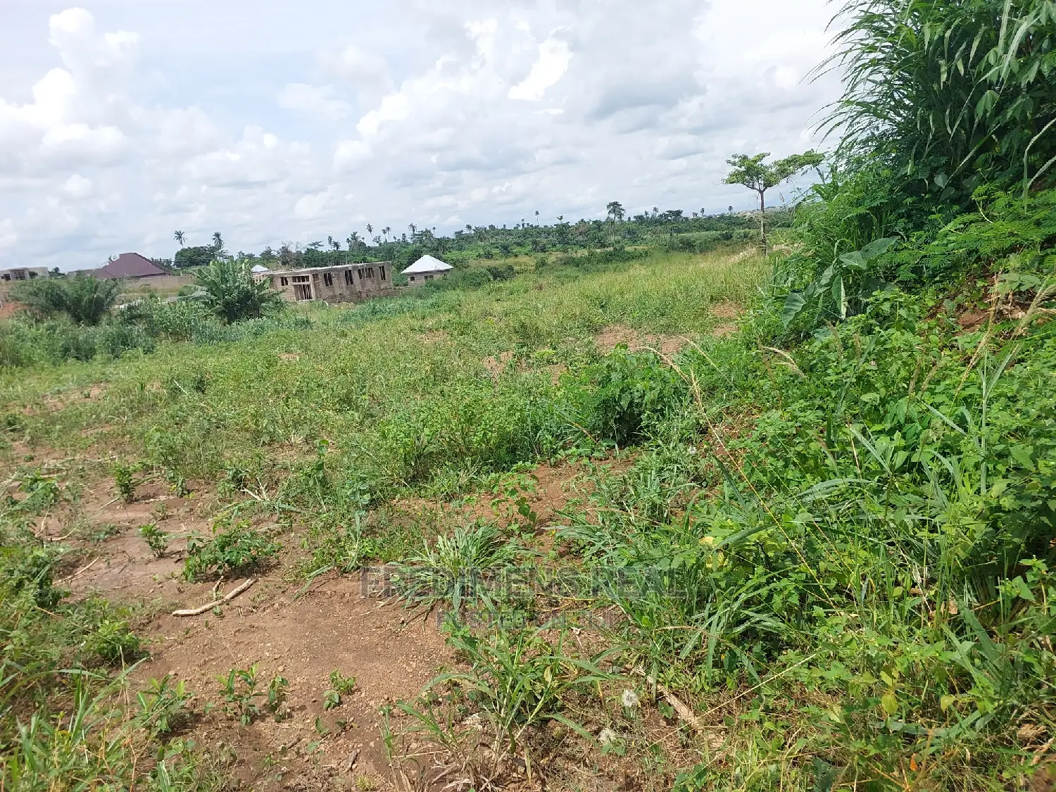 A Land at Ejisu-Krapa for Sale