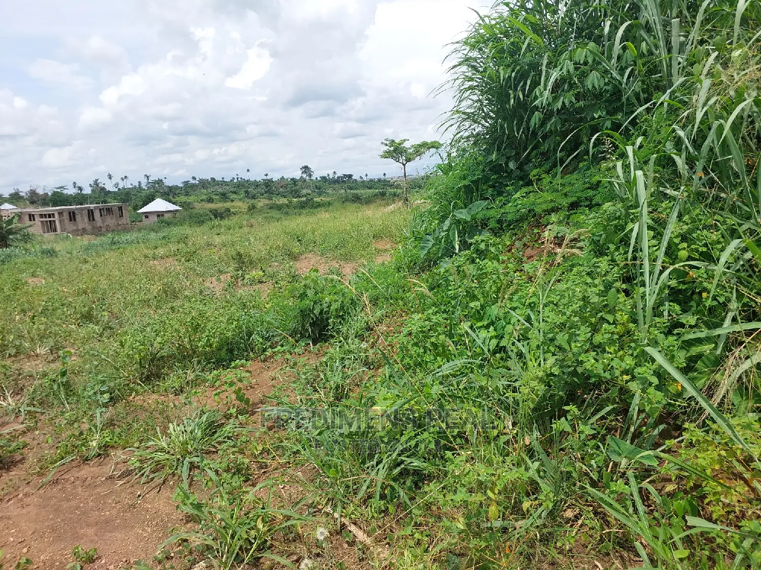 A Land at Ejisu-Krapa for Sale