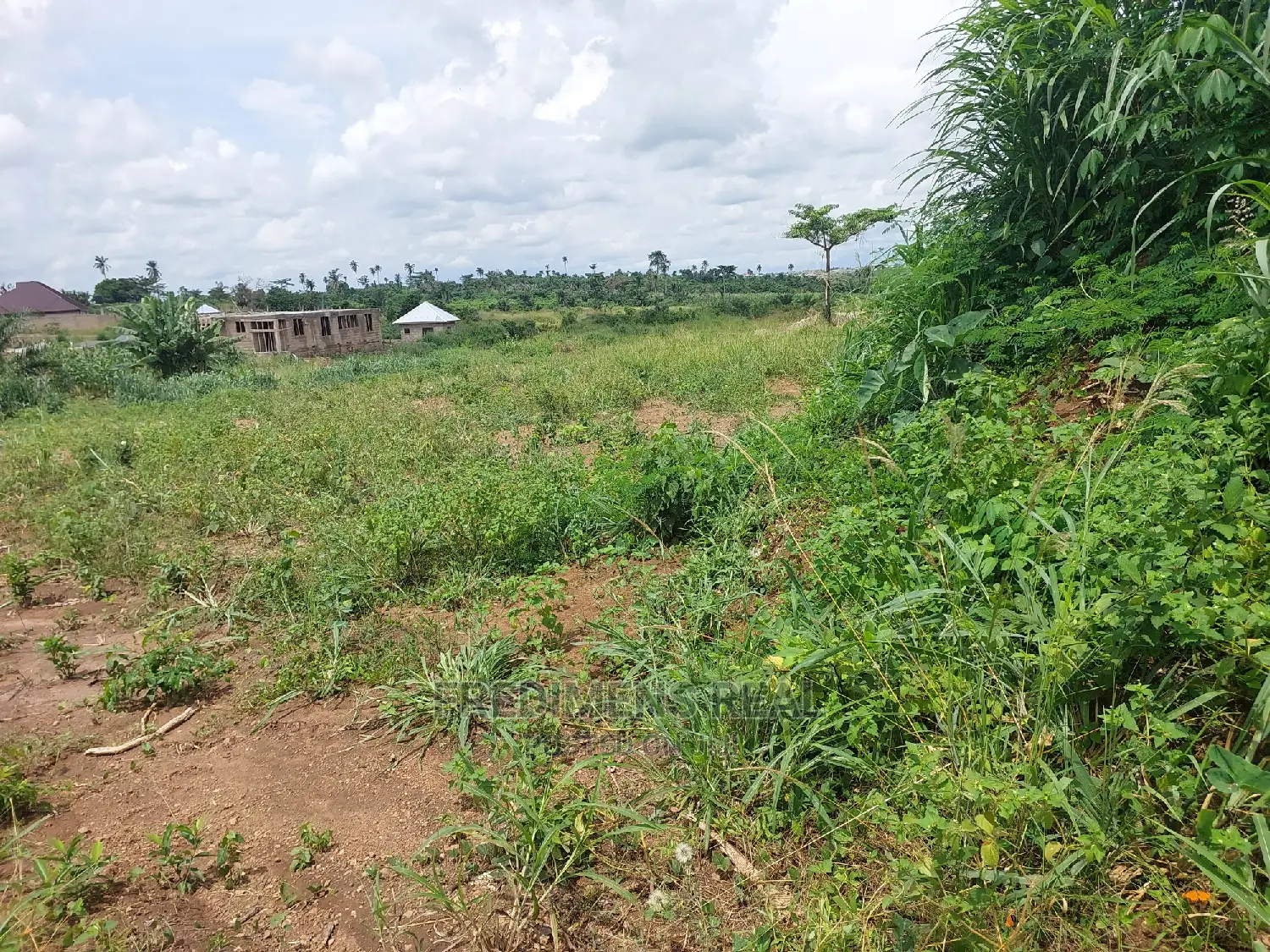 A Land at Ejisu-Krapa for Sale