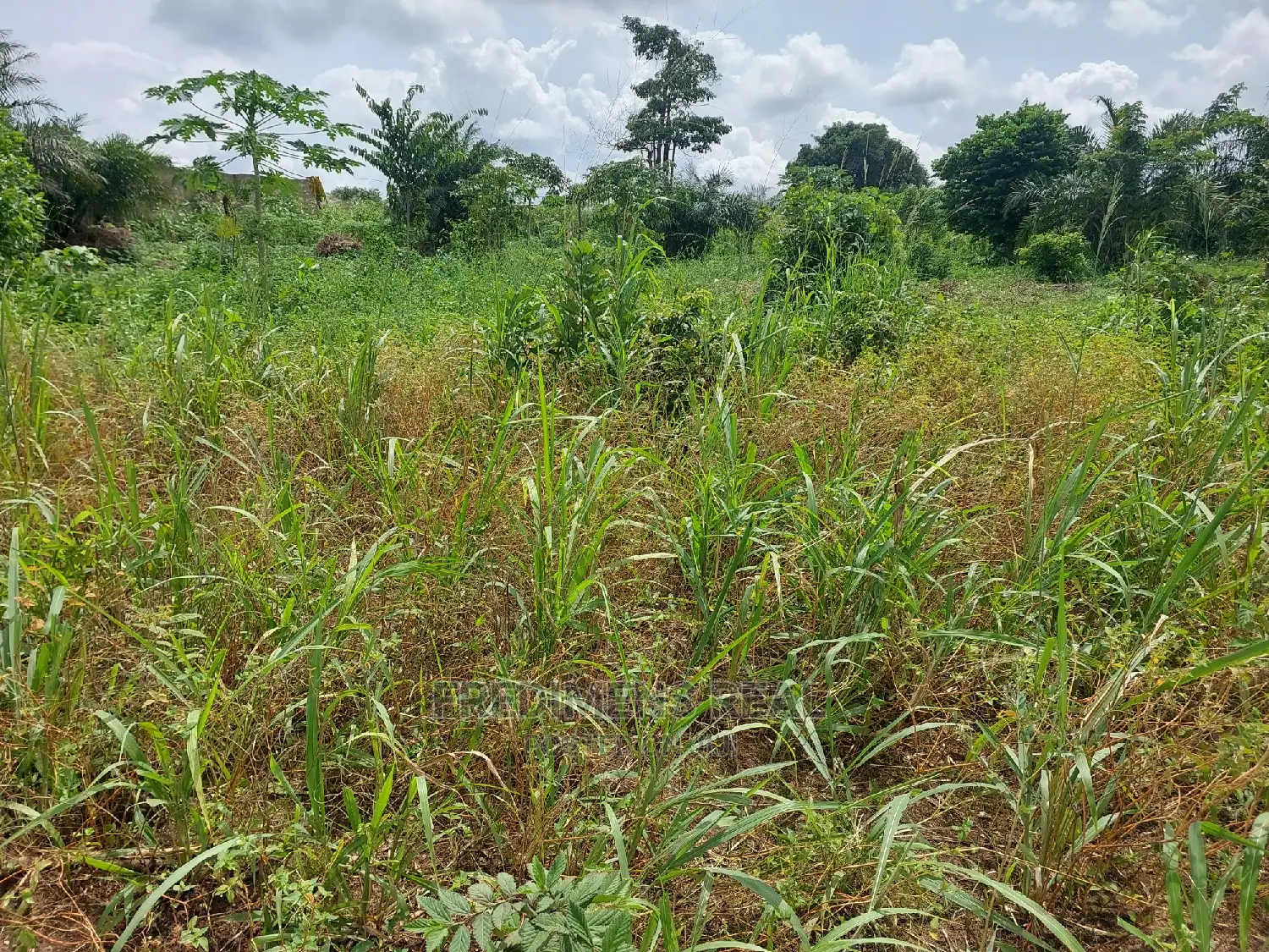 A Land at Ejisu-Krapa for Sale