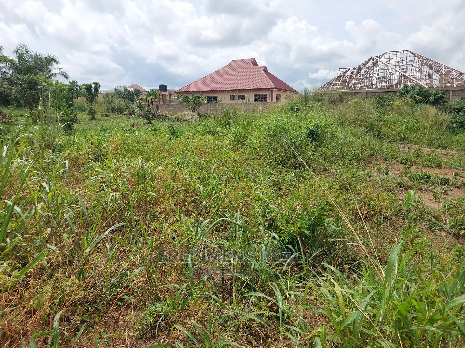 A Land at Ejisu-Krapa for Sale
