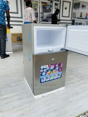 Direct Cooling Pearl 80ltr Double Door Refrigerator(PF-10t)