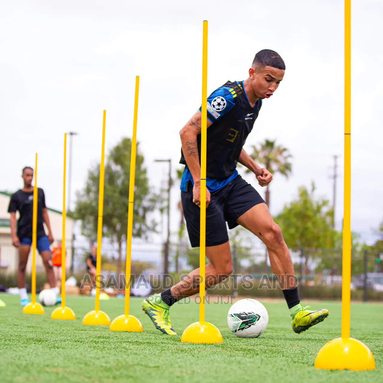 Original Training Poles at Cool Price