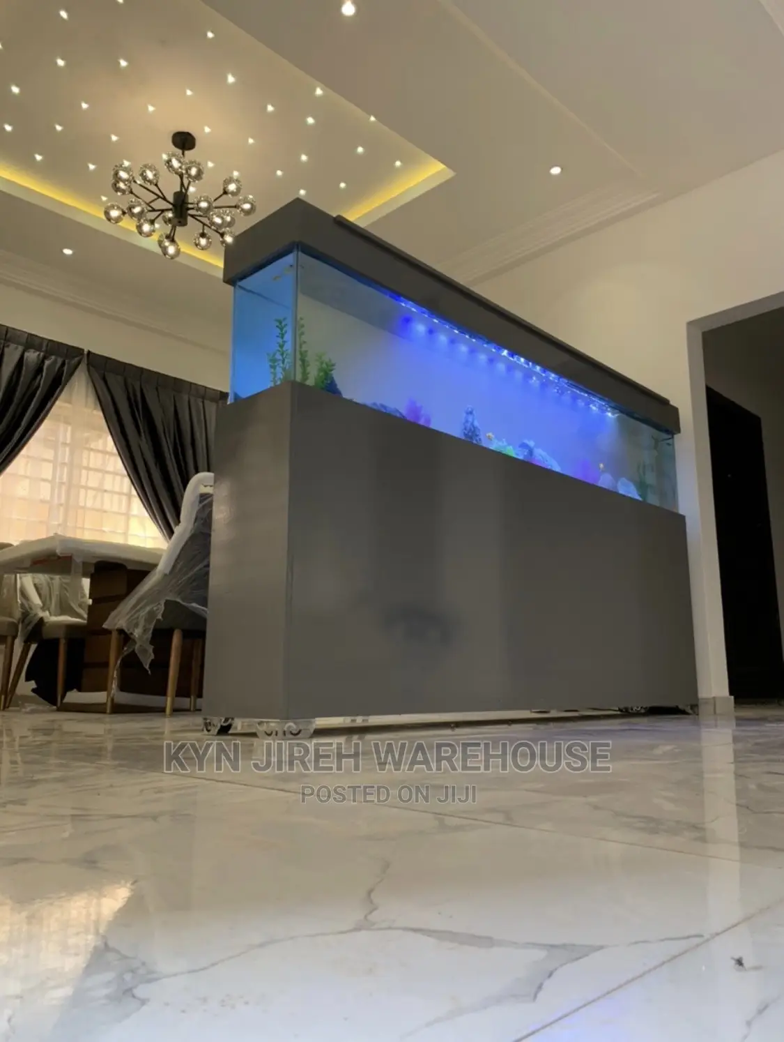 Amazing Aquarium Setup With Fishes