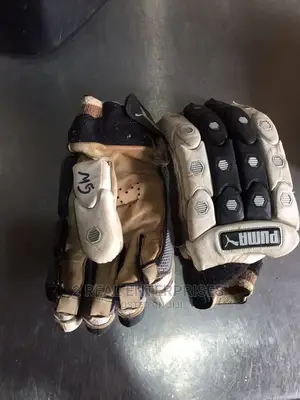 Cricket Gloves