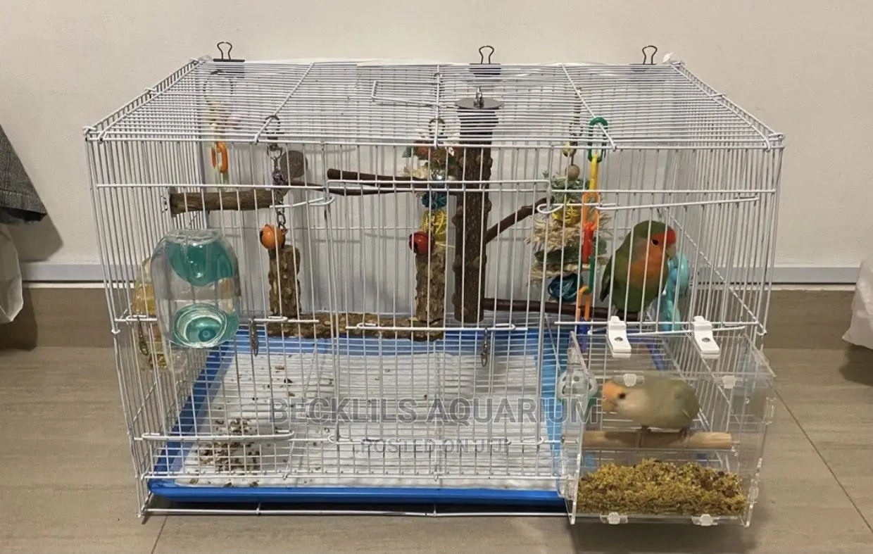Quality Double Parrot Cages Available