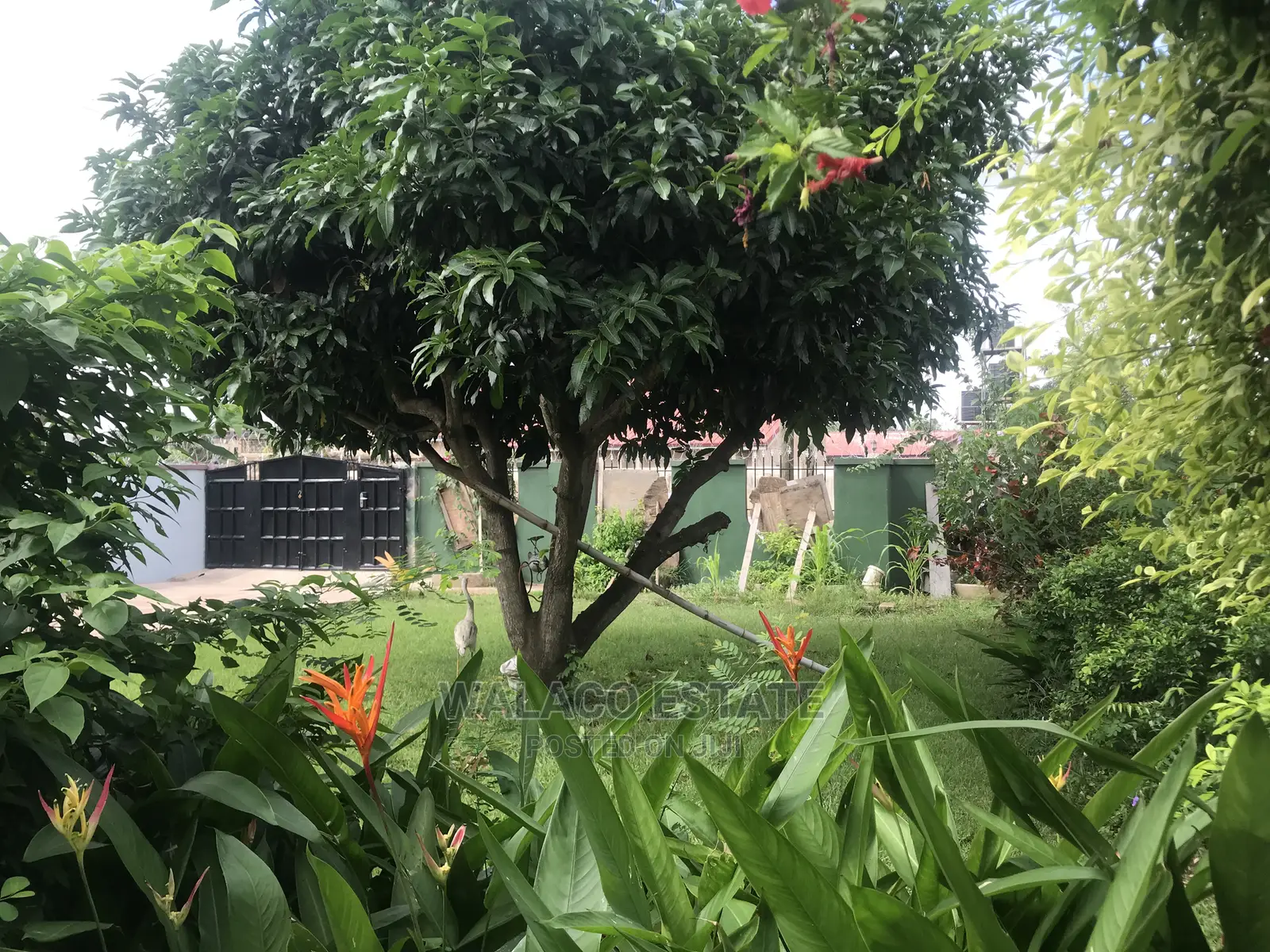 Furnished 3bdrm House in Walako Consult, Haatso for rent