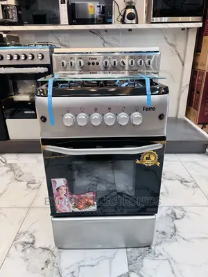 Free Standing 50/55gas Cooker Oven 4burner Grey Color