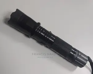 1101 Type Flashlight Plus