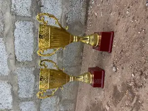 Original Medium Size Trophies at Cool Price