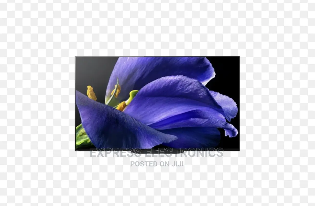 Call or Text Us for Sony OLED UHD 65A9G TV 