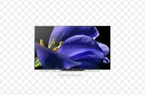 Call or Text Us for Sony OLED UHD 65A9G TV 