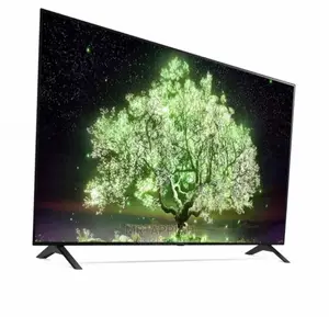 Budget-Friendly OLED 55” Smart Tv on Sale(OLED55A1PVA)