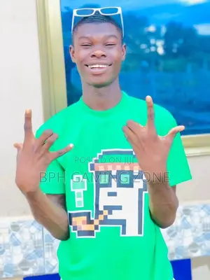 Am a Wordpress Website Developer